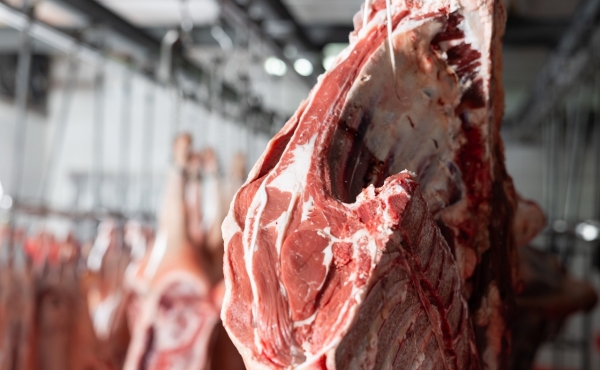 Meat processing: how to do it best with IFT equipment