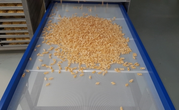 How to open a pasta factory: tips and useful information
